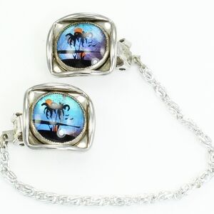 Vtg Hoffman Morpho Butterfly Reverse Painted Beach Scene Sweater Clips